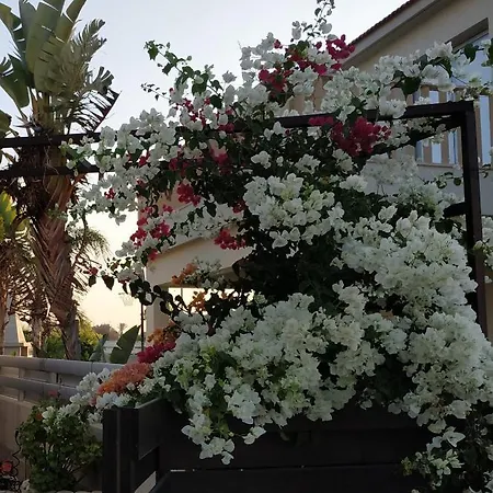 Michael' S Nest Villa